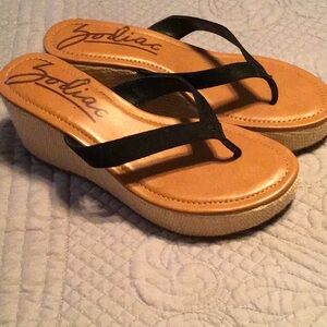Zodiac platform wedge flip flop thong sandals